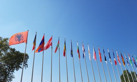 Council of Europe: Draft Recommendation on principles for the future regulation of media and communication